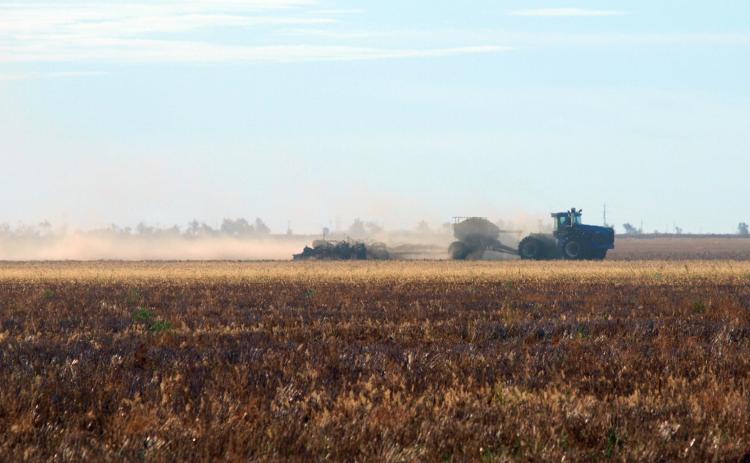 Photo and Commentary by Dave Breitkreutz