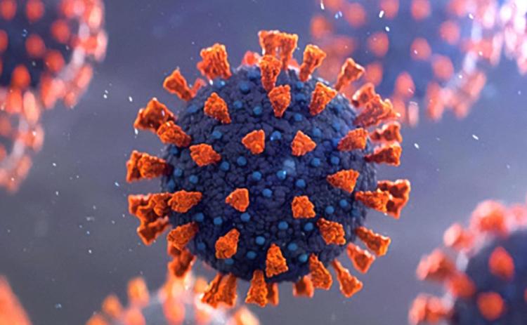 KDHE Statement on New Omicron COVID-19 Variant