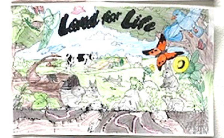 Conservation District Coloring Contest Winners