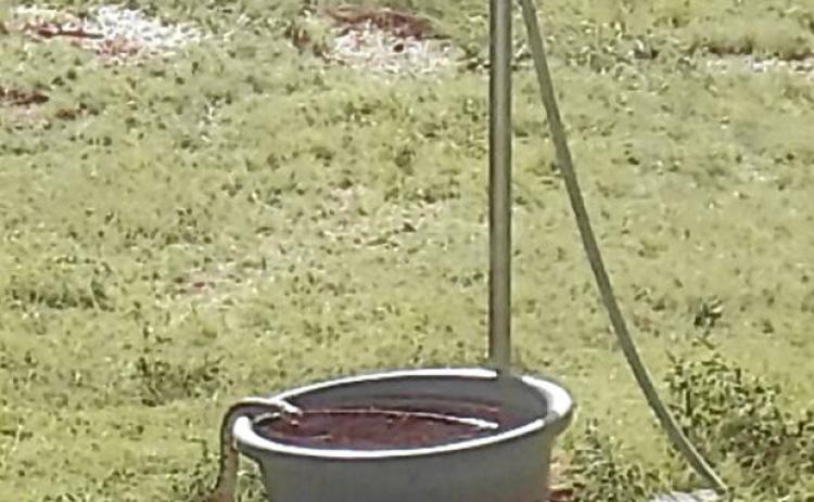 One of our Neighbors got quite a surprise of an afternoon a few weeks ago. This thirsty snake showed up to take a few sips of water. It seems the extreme heat and ongoing drought are affecting all creatures, great and small. We t h a n k our readerphotographer (who wishes to remain anonymous) for providing the photo.
